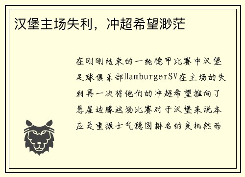 汉堡主场失利，冲超希望渺茫
