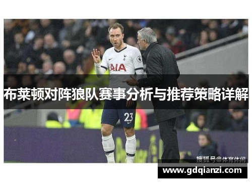 布莱顿对阵狼队赛事分析与推荐策略详解